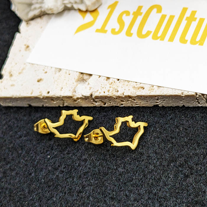 Minimalist Colombia 18K Gold Plated Earrings / Small Colombia Jewelry / Colombia Map Earrings / Tiny Colombia Earrings / Colombia Gift