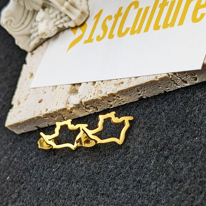 Minimalist Colombia 18K Gold Plated Earrings / Small Colombia Jewelry / Colombia Map Earrings / Tiny Colombia Earrings / Colombia Gift