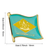 Delaware State flag lapel pin / USA Delaware flag clothes brooch / enamel pins /  Delaware flag Badge /  Delaware pin