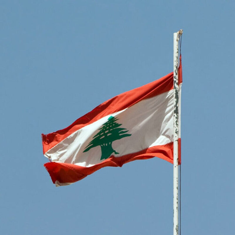 Large Lebanon Flag / Large Lebanon Art / Lebanon Wall Art / Lebanon Poster / Lebanon Gifts / Lebanon Map / Lebanon Pendant