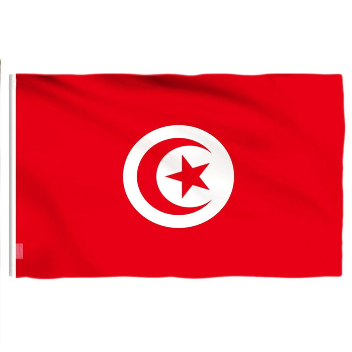 Large Tunisia Flag / Large Tunisia Art / Tunisia Wall Art / Tunisia Poster / Tunisia Gifts / Tunisia Map / Tunisia Pendant / Tunisia