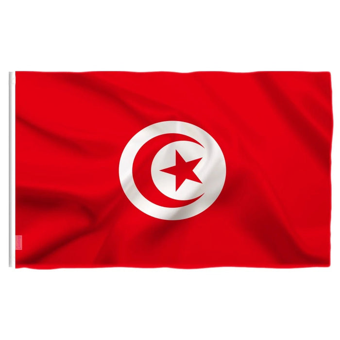 Large Tunisia Flag / Large Tunisia Art / Tunisia Wall Art / Tunisia Poster / Tunisia Gifts / Tunisia Map / Tunisia Pendant / Tunisia