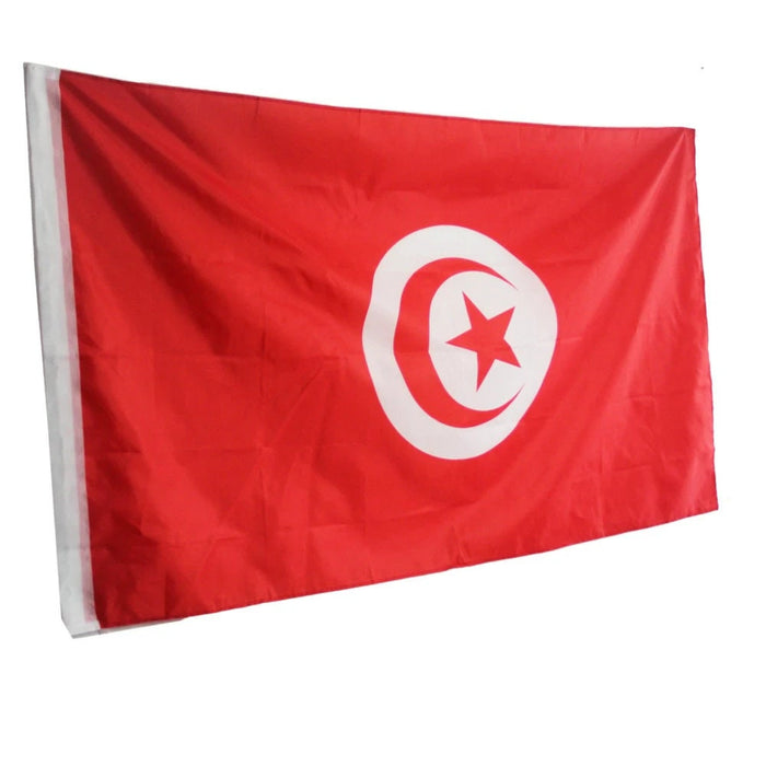 Large Tunisia Flag / Large Tunisia Art / Tunisia Wall Art / Tunisia Poster / Tunisia Gifts / Tunisia Map / Tunisia Pendant / Tunisia