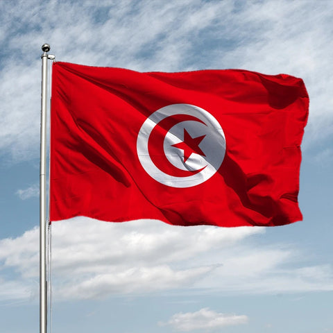 Large Tunisia Flag / Large Tunisia Art / Tunisia Wall Art / Tunisia Poster / Tunisia Gifts / Tunisia Map / Tunisia Pendant / Tunisia