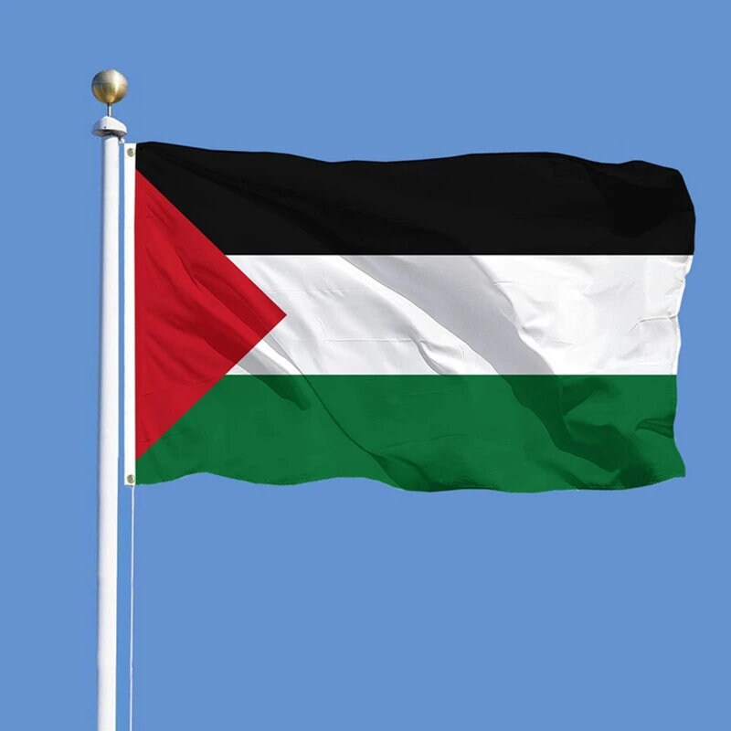 Large Palestine Flag / Large Palestine Art / Palestine Wall Art / Palestine Poster / Palestine Gifts / Palestine Map / Palestine Pendant