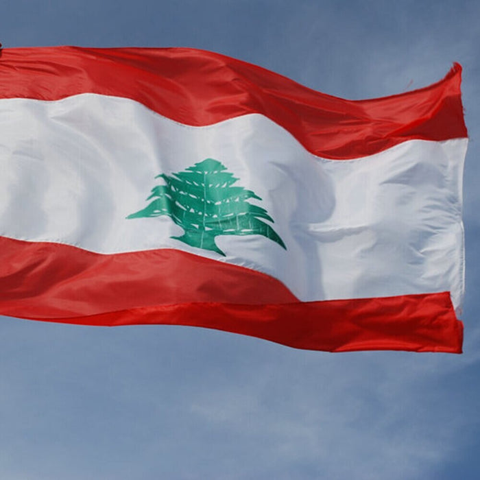 Large Lebanon Flag / Large Lebanon Art / Lebanon Wall Art / Lebanon Poster / Lebanon Gifts / Lebanon Map / Lebanon Pendant