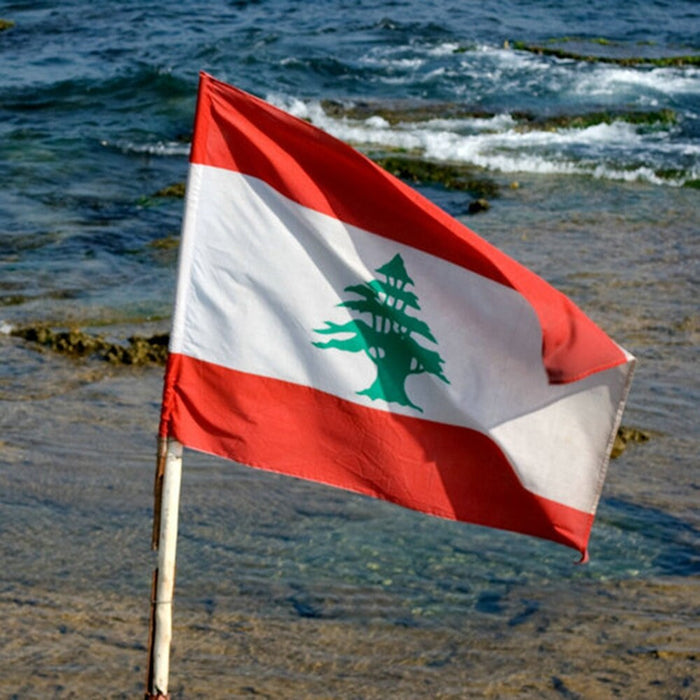 Large Lebanon Flag / Large Lebanon Art / Lebanon Wall Art / Lebanon Poster / Lebanon Gifts / Lebanon Map / Lebanon Pendant