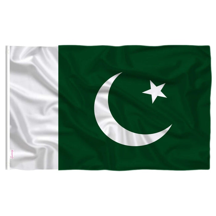 Large Pakistan Flag / Large Pakistan Art / Pakistan Wall Art / Pakista ...
